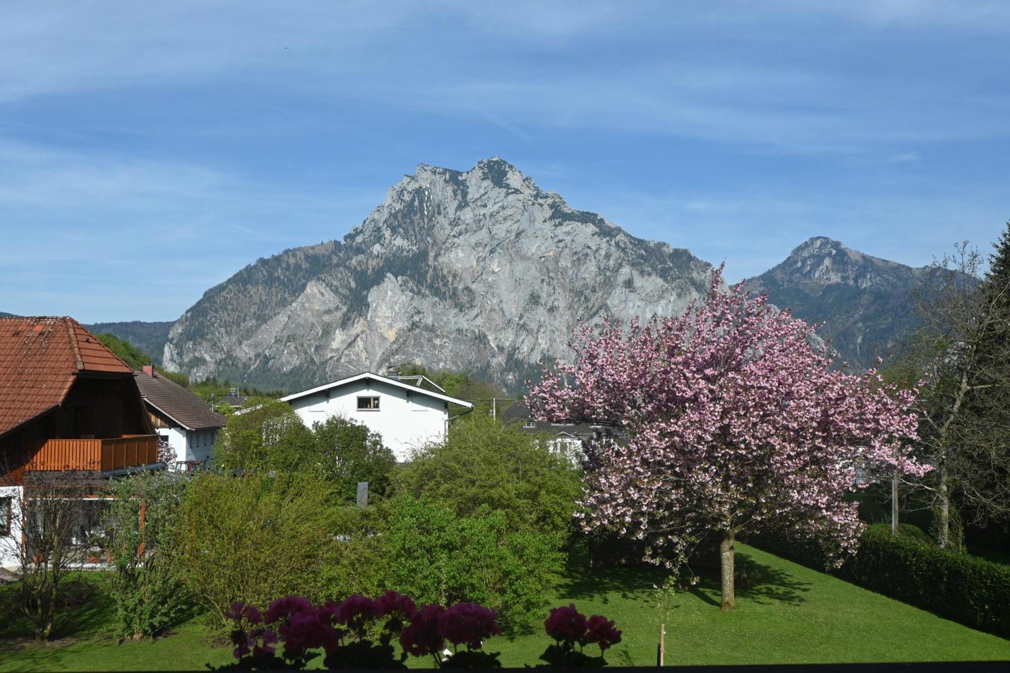 Ferienhaus Humer Altmuenster Ngoại thất bức ảnh